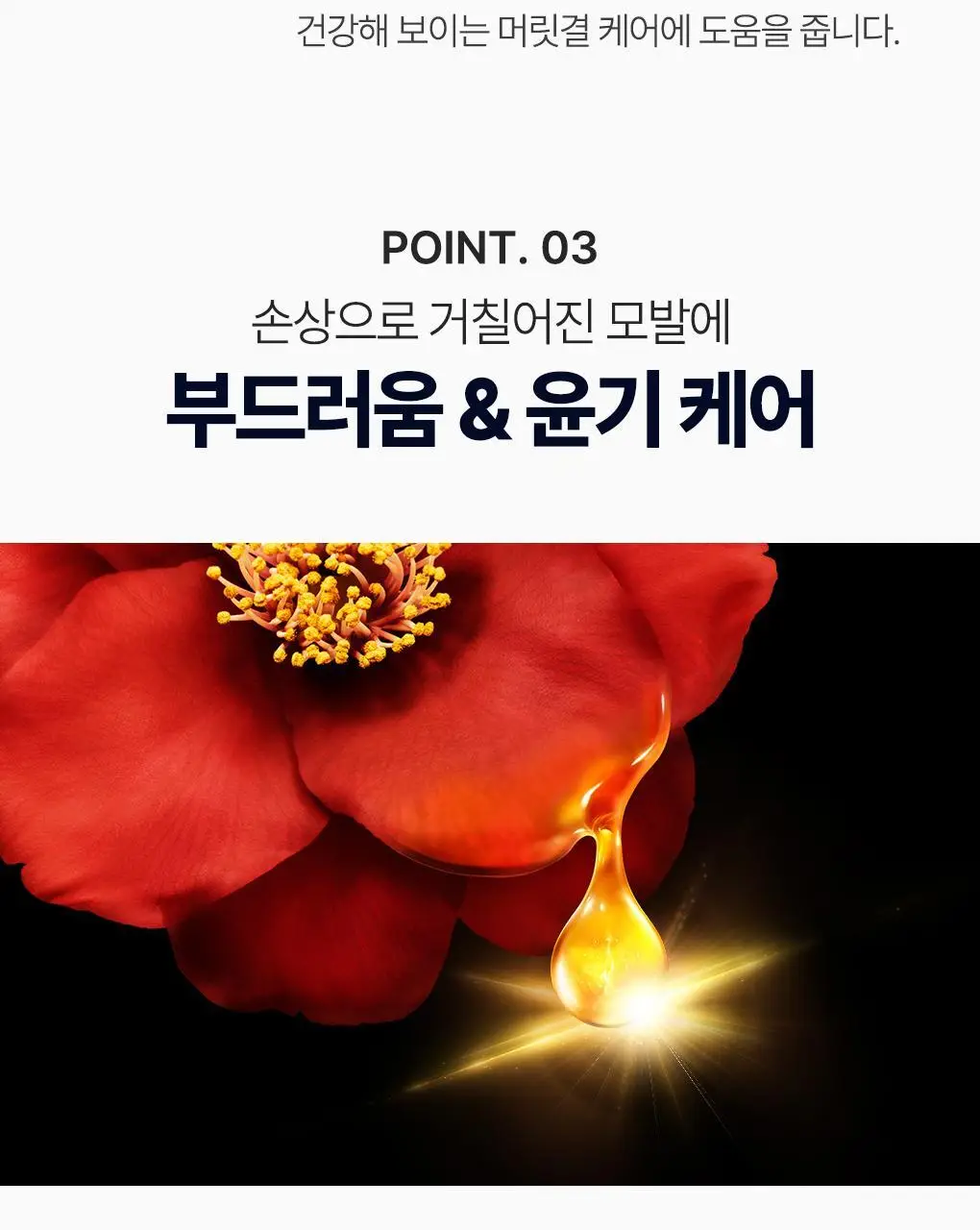 [집중영양케어] 츠바키 프리미엄 EX 데미지케어 & 리페어 컨디셔너 트리트먼트 450ml 상세페이지 13
